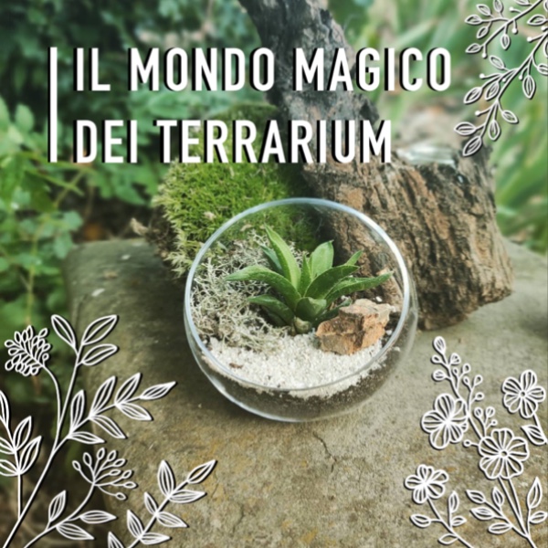 Workshop:  Il Mondo Magico dei Terrarium