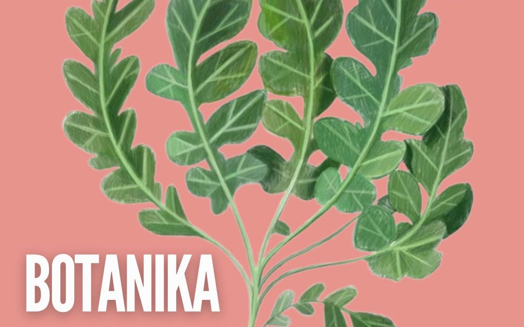 Botanika